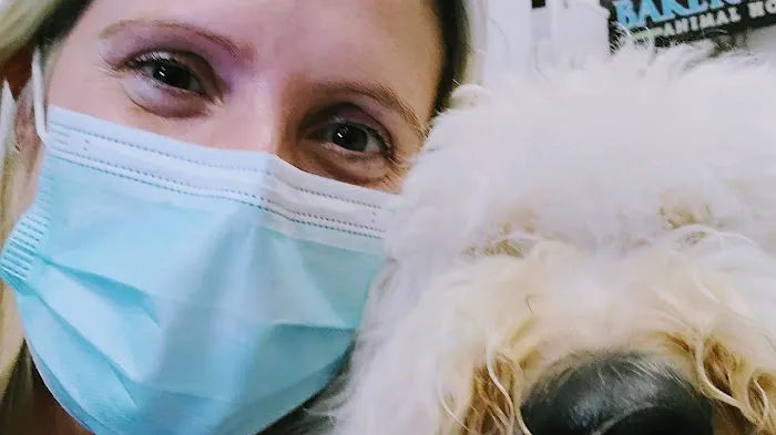Baker Ranch Animal Hospital Picture 5