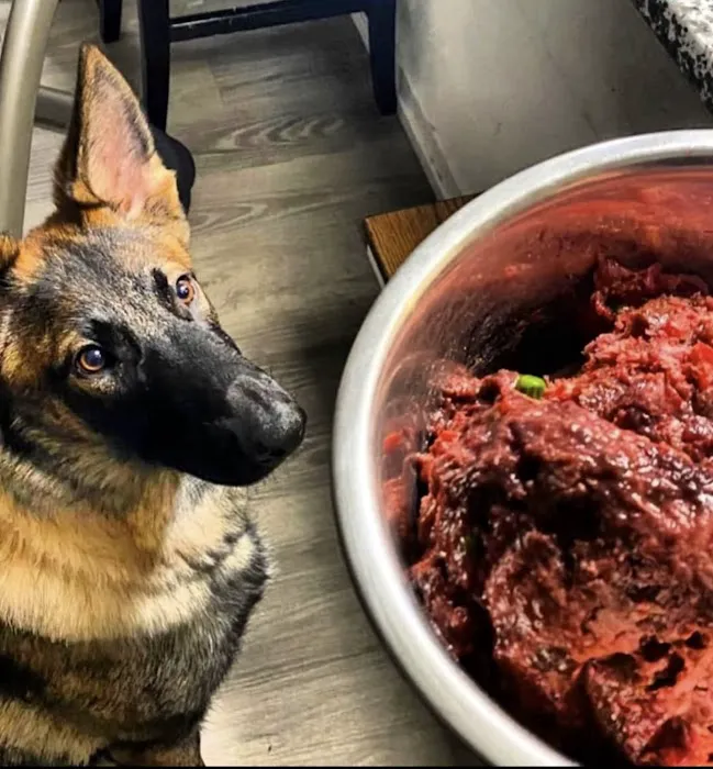 Athletic K9 Raw Dog Food Picture 2