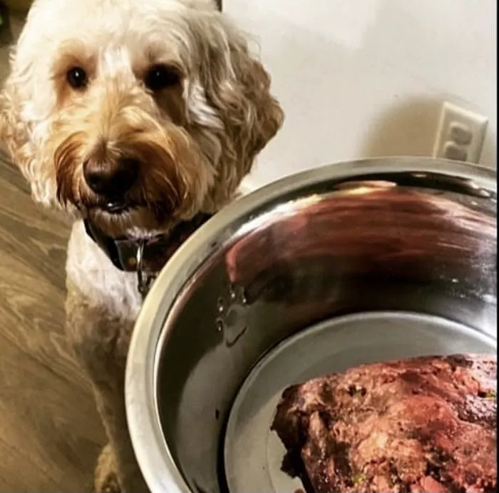 Athletic K9 Raw Dog Food Picture 5