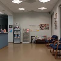 Plaza Pet Hospital ico