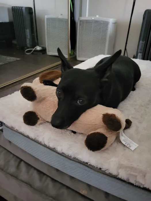 Banfield Pet Hospital Picture 1