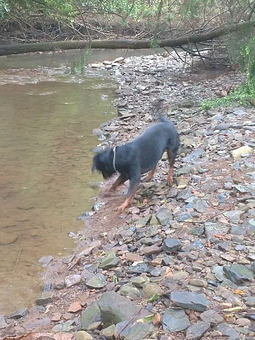 Purdy Pet Food LLC Picture 8