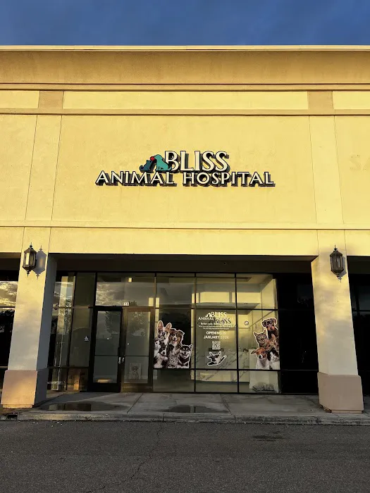 Bliss Animal Hospital Picture 1