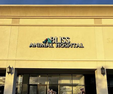 Bliss Animal Hospital