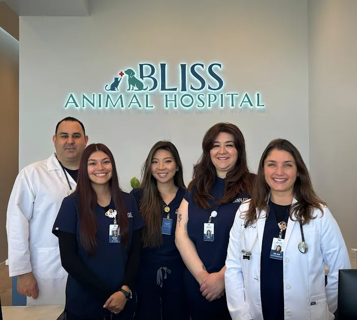 Bliss Animal Hospital Picture 4
