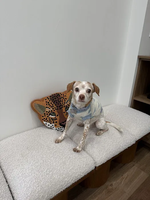 Fauna Veterinary Collective Picture 8