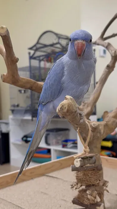 My Pet's Paradise Picture 1