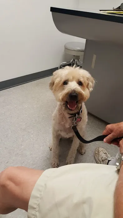 Alisos Animal Hospital Picture 1