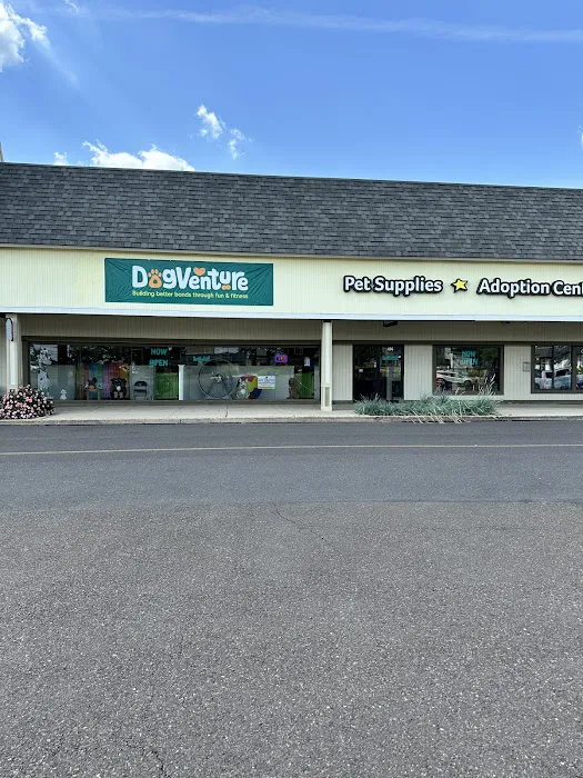 DogVenture New Britain Picture 6