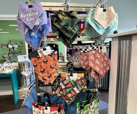 DogVenture New Britain