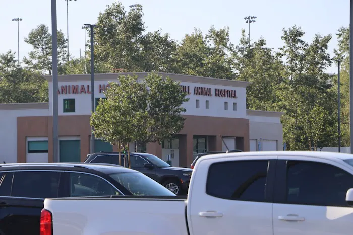 Foothill Animal Hospital, Inc. Picture 3