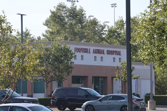 Foothill Animal Hospital, Inc. Picture 2