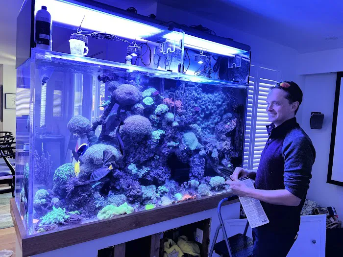 Aquarium Design Studios Picture 4