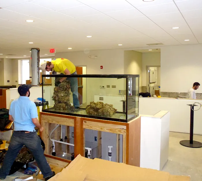Aquarium Design Studios Picture 9