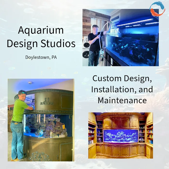 Aquarium Design Studios Picture 7