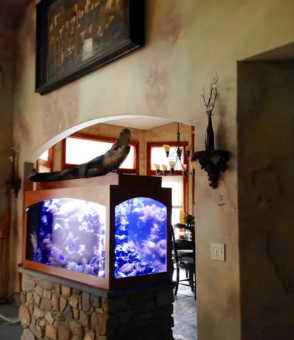 Aquarium Design Studios Picture 6