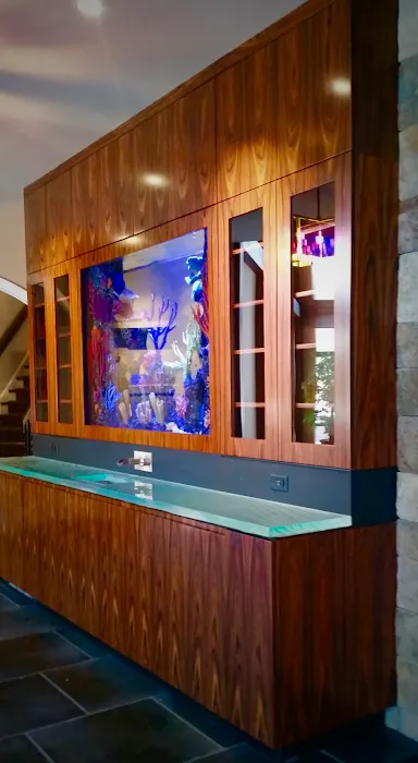 Aquarium Design Studios Picture 5
