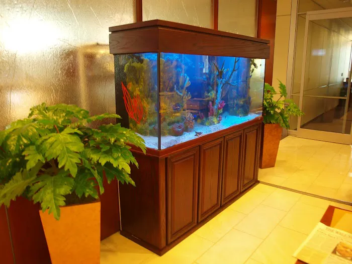Aquarium Design Studios Picture 1