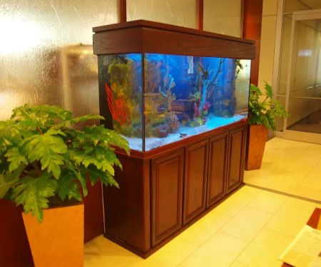 Aquarium Design Studios