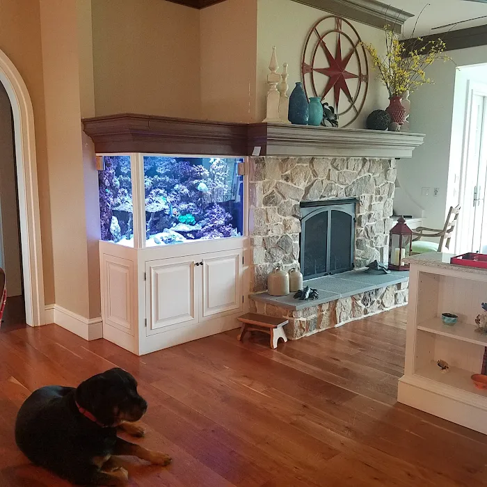 Aquarium Design Studios Picture 10
