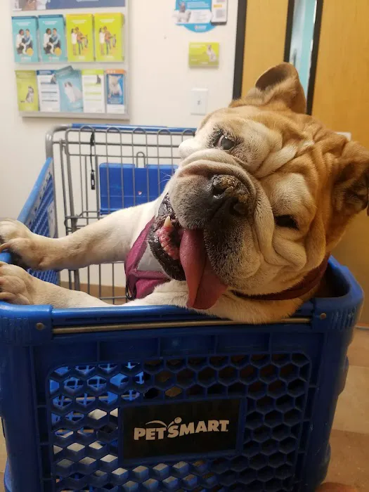Banfield Pet Hospital Picture 10