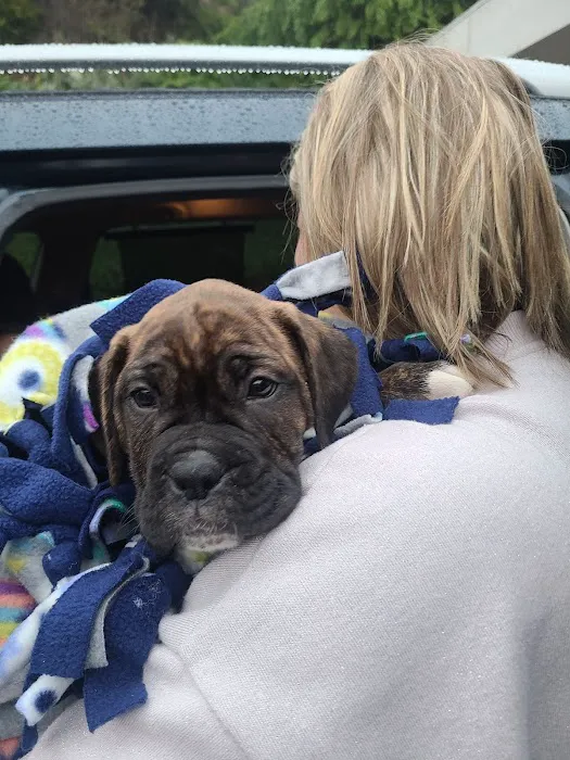 Banfield Pet Hospital Picture 8