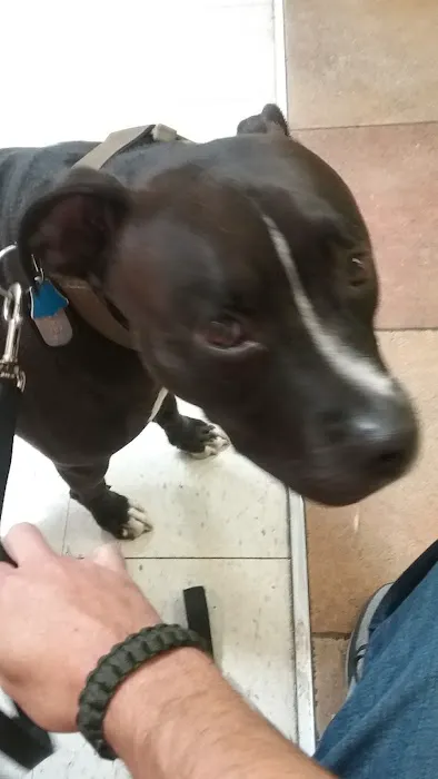 Banfield Pet Hospital Picture 2