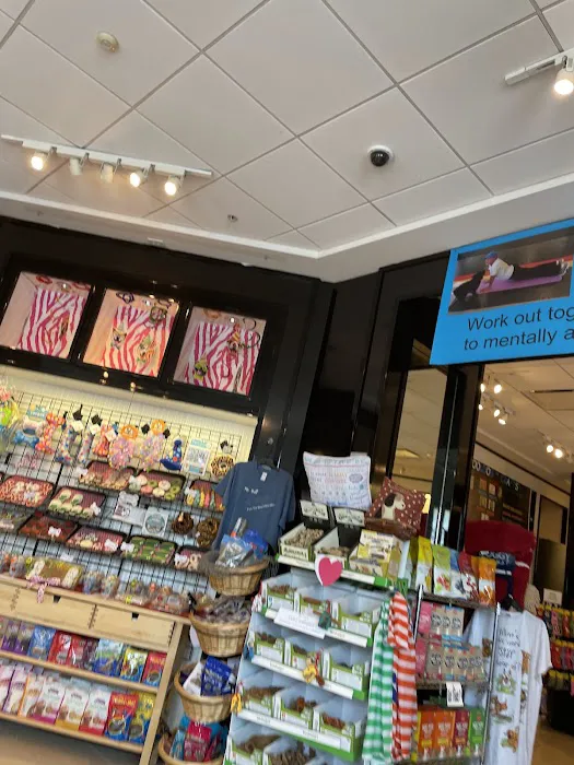 DogVenture Valley Square Picture 2