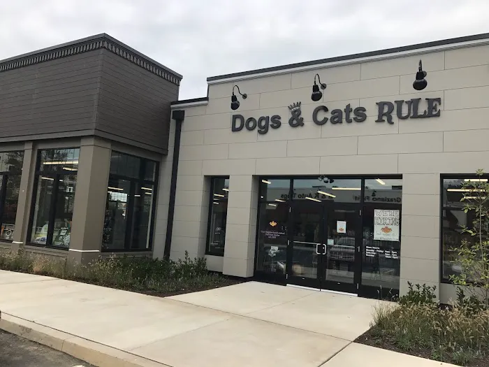 Dogs & Cats Rule Picture 1