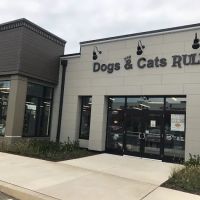 Dogs & Cats Rule ico