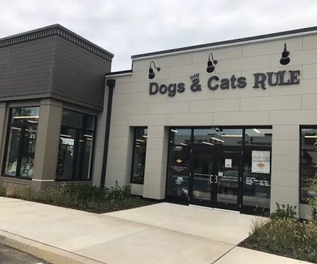 Dogs & Cats Rule