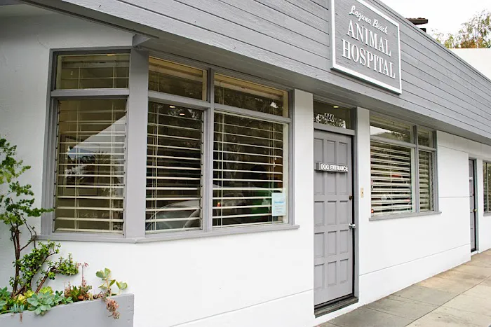 Laguna Beach Animal Hospital Picture 4