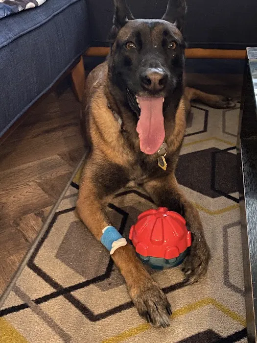 Aliso Niguel Animal Hospital Picture 10
