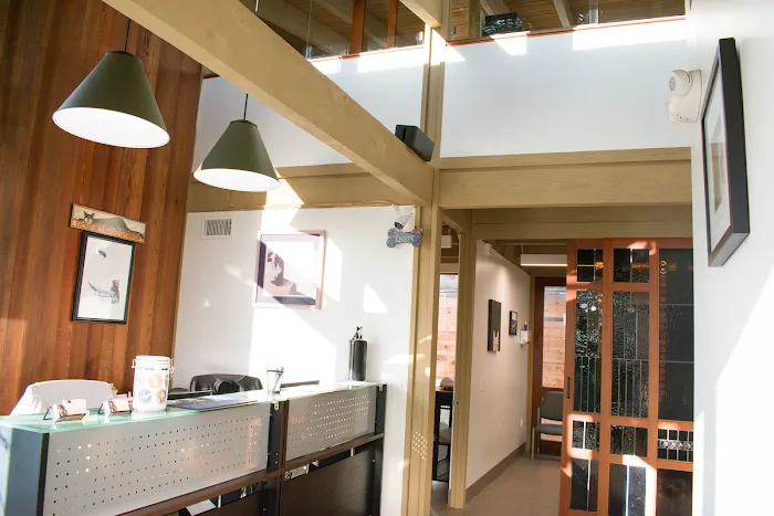 Arch Beach Veterinary Clinic Picture 5