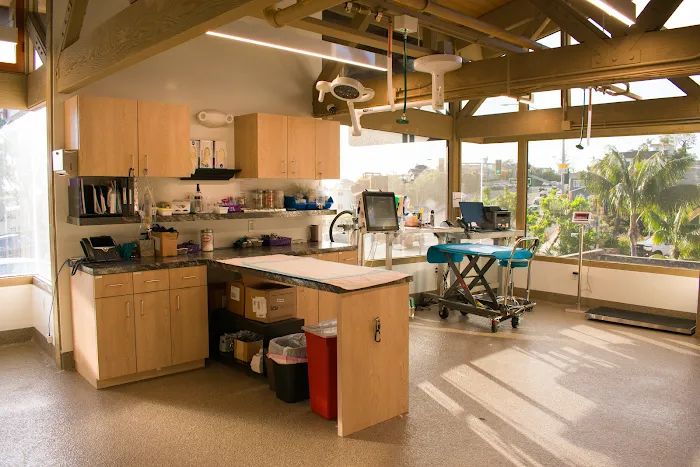 Arch Beach Veterinary Clinic Picture 6