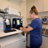 Aliso Beach Animal Clinic ico
