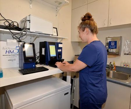 Aliso Beach Animal Clinic