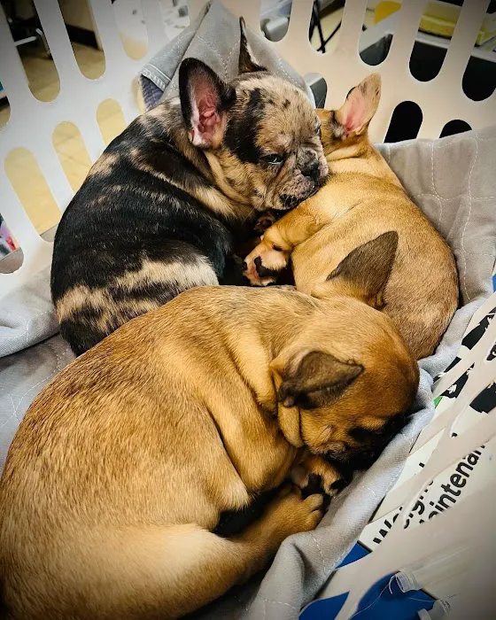 Aliso Beach Animal Clinic Picture 6