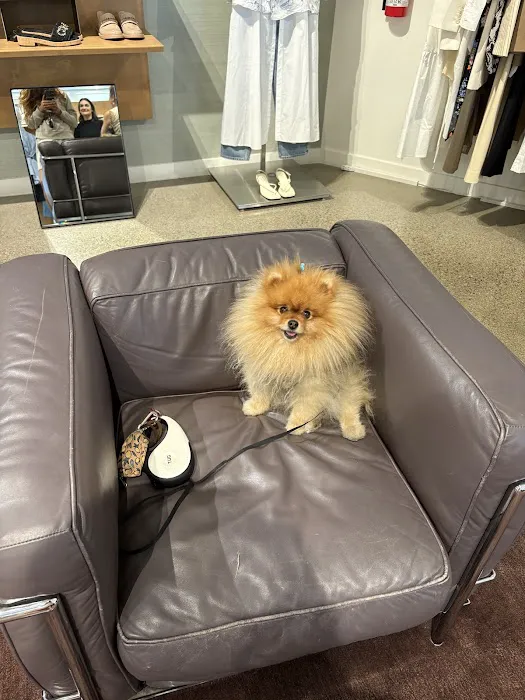 Alicia Pacific Veterinary Center Picture 7