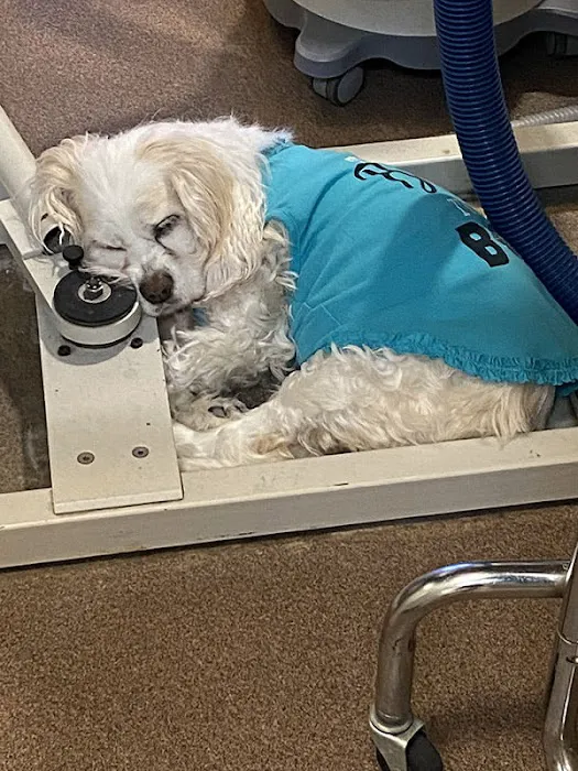 Alicia Pacific Veterinary Center Picture 10