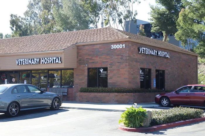 South Coast Veterinary Hospital Picture 3