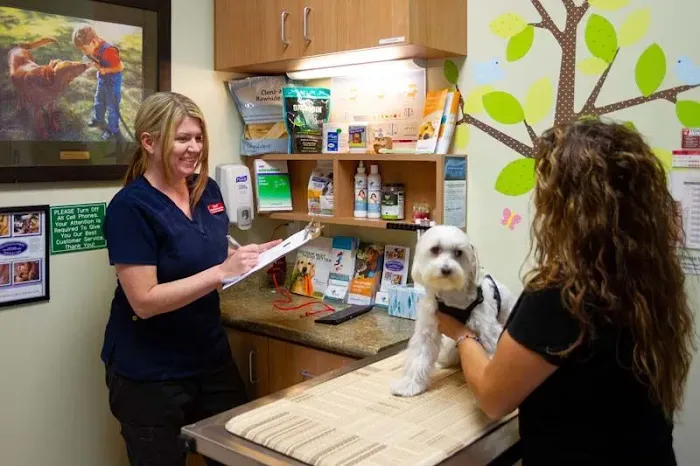 South Coast Veterinary Hospital Picture 7
