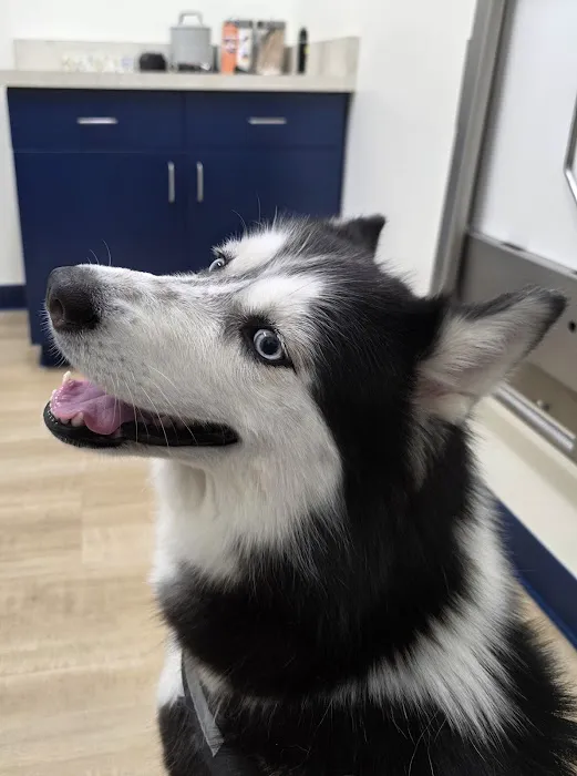 EPIC Pet Center Picture 2