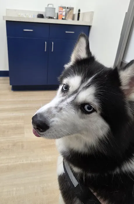 EPIC Pet Center Picture 4