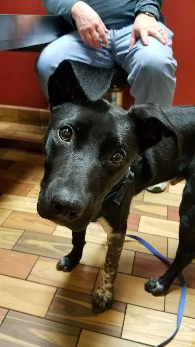 Portola Plaza Veterinary Hospital Picture 10