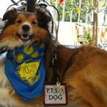 La Paz Animal Clinic