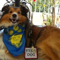La Paz Animal Clinic ico