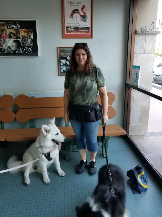 La Paz Animal Clinic Picture 4