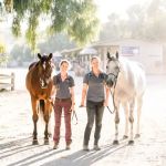 Orange County Equine Veterinary Services