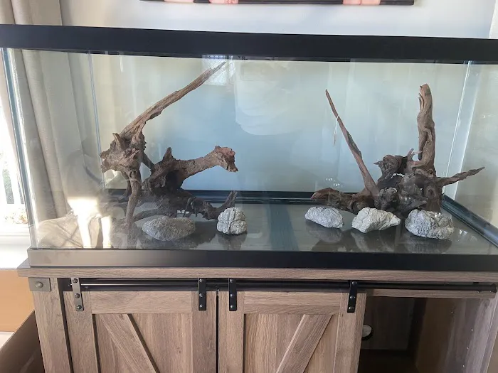 Cuboid Nature Aquarium Picture 7